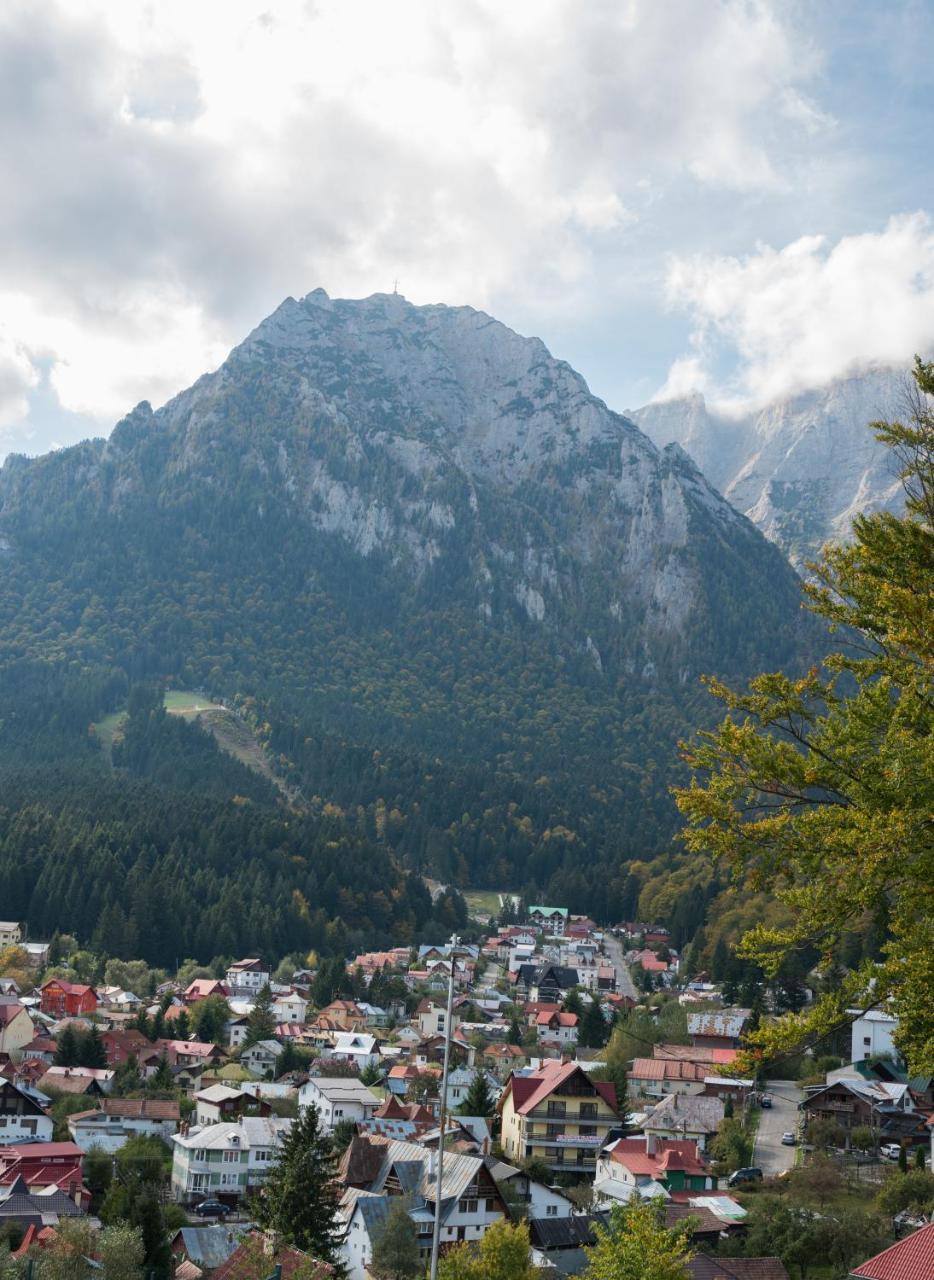 Vila Alegria Hotell Buşteni Exteriör bild